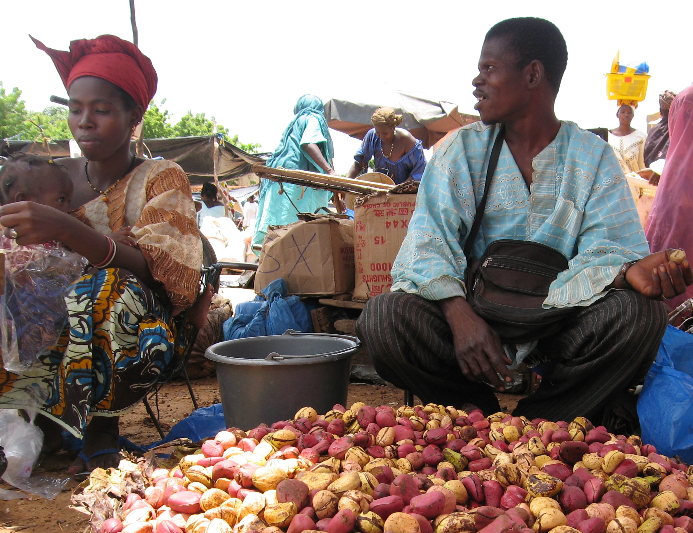 Kola nuts sold in market in Mali